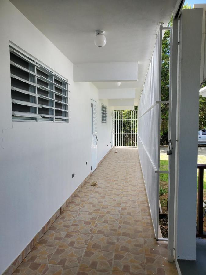 Crab Island Adventures Apartments Vieques Kültér fotó