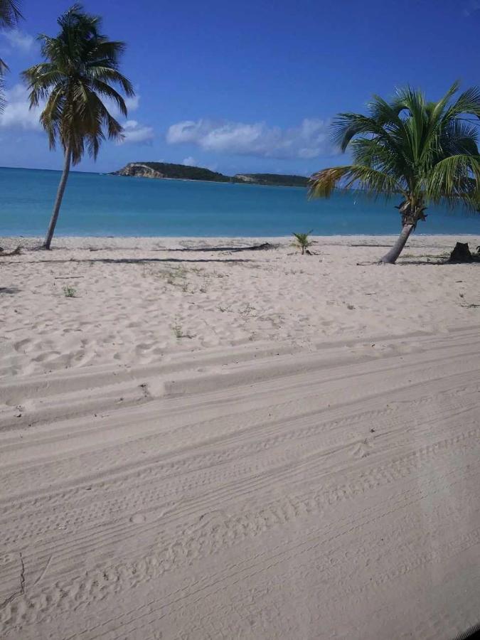 Crab Island Adventures Apartments Vieques Kültér fotó